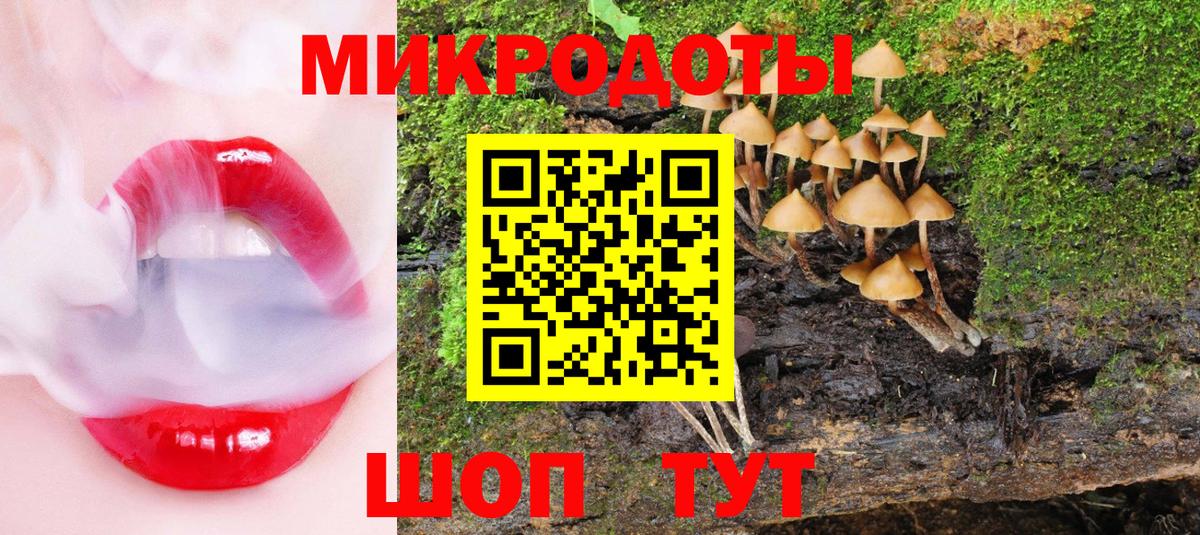 купить закладку  Галлюциногенные грибы GOLDEN TEACHER  Вход с VPN  Старая Купавна  Галлюциногенные грибы прущие грибы 